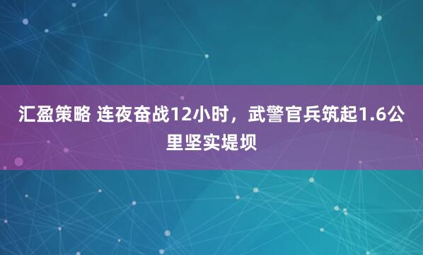 汇盈策略 连夜奋战12小时，武警官兵筑起1.6公里坚实堤坝