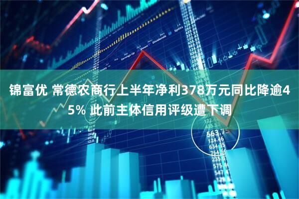 锦富优 常德农商行上半年净利378万元同比降逾45% 此前主体信用评级遭下调