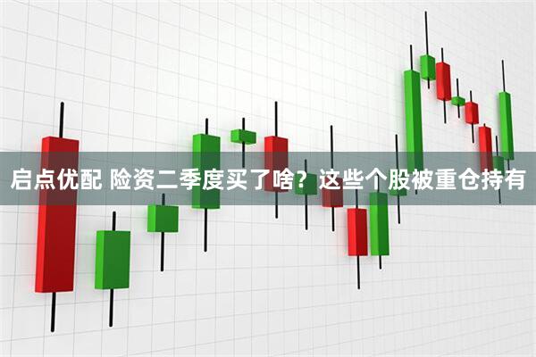 启点优配 险资二季度买了啥？这些个股被重仓持有