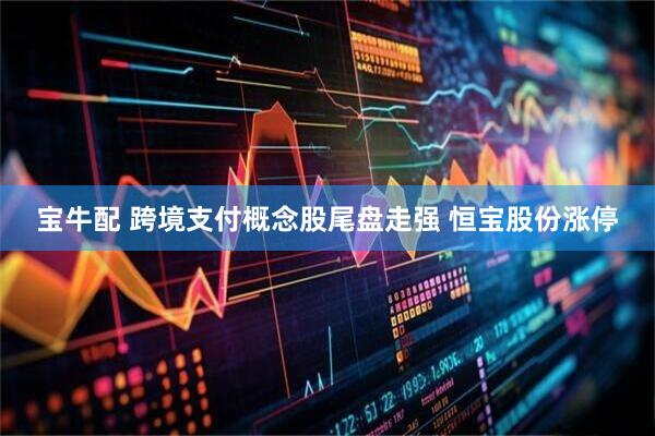 宝牛配 跨境支付概念股尾盘走强 恒宝股份涨停