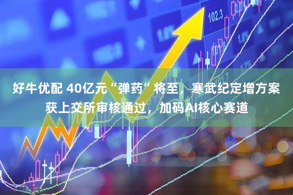 好牛优配 40亿元“弹药”将至，寒武纪定增方案获上交所审核通过，加码AI核心赛道