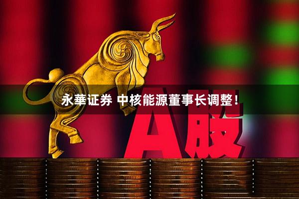 永華证券 中核能源董事长调整！