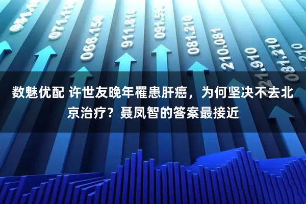 数魅优配 许世友晚年罹患肝癌，为何坚决不去北京治疗？聂凤智的答案最接近
