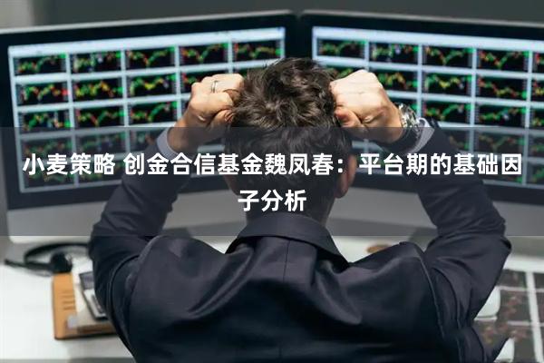 小麦策略 创金合信基金魏凤春：平台期的基础因子分析