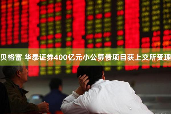 贝格富 华泰证券400亿元小公募债项目获上交所受理